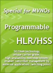 Programmable HLR/HSS - LeibICT